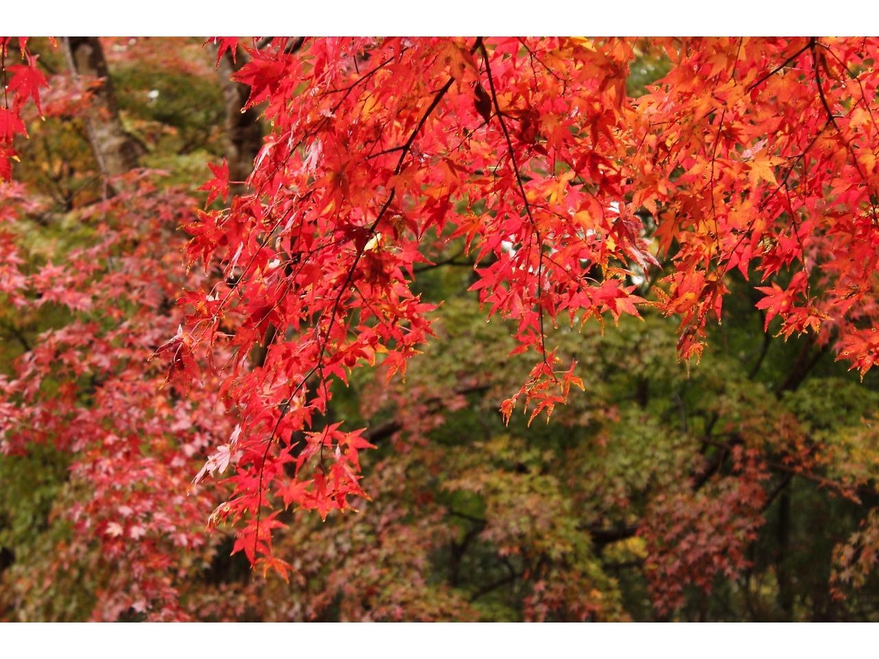 Goi Grand Hotel Ichihara Exteriér fotografie